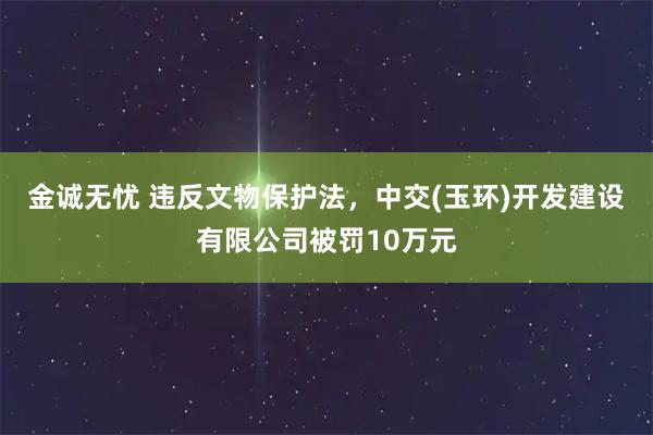 金诚无忧 违反文物保护法，中交(玉环)开发建设有限公司被罚10万元