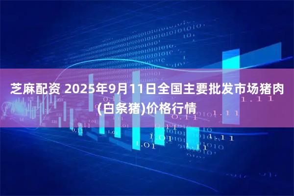 芝麻配资 2025年9月11日全国主要批发市场猪肉(白条猪)价格行情
