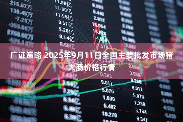 广证策略 2025年9月11日全国主要批发市场猪大肠价格行情